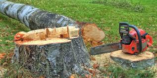  Albany, WI Tree Services Pros