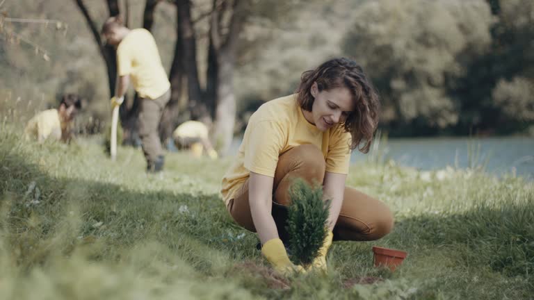 Best Organic Lawn Care Solutions  in Albany, WI